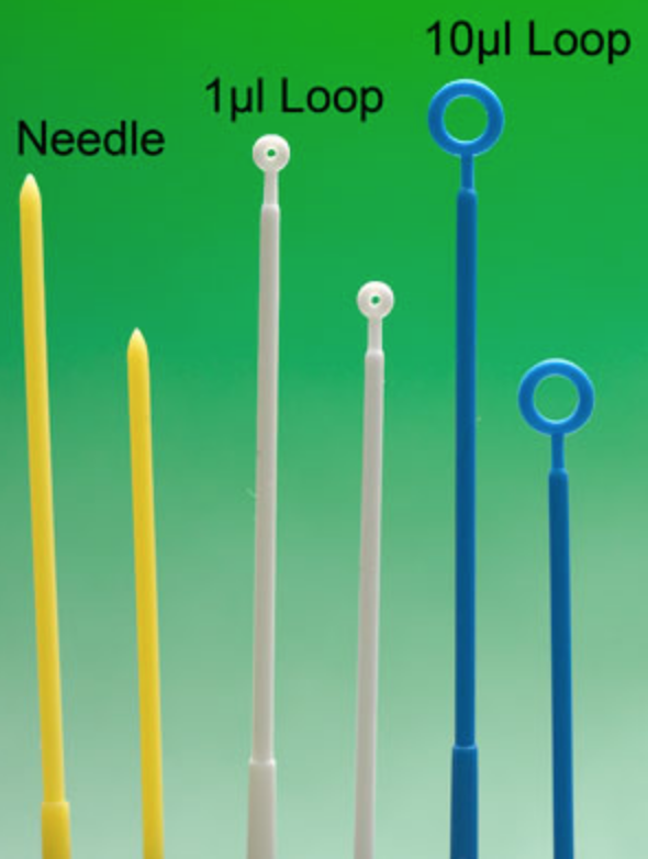 Inoculating loops 10μL, 10UND